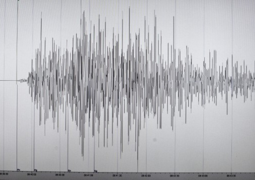 Земетресение с магнитуд 5,9 близо до АЕЦ в Иран 