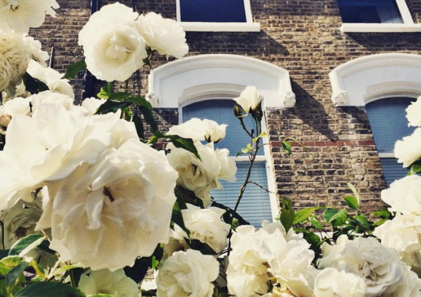 10 от най-красивите къщи в Лондон (СНИМКИ)