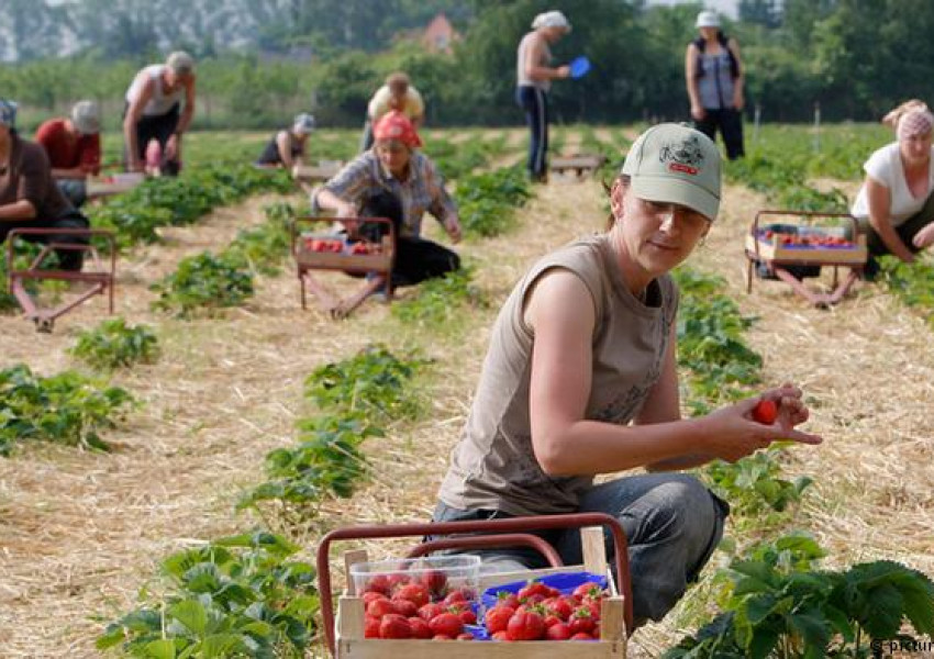 Българите и поляците вече искат да работят за повече пари