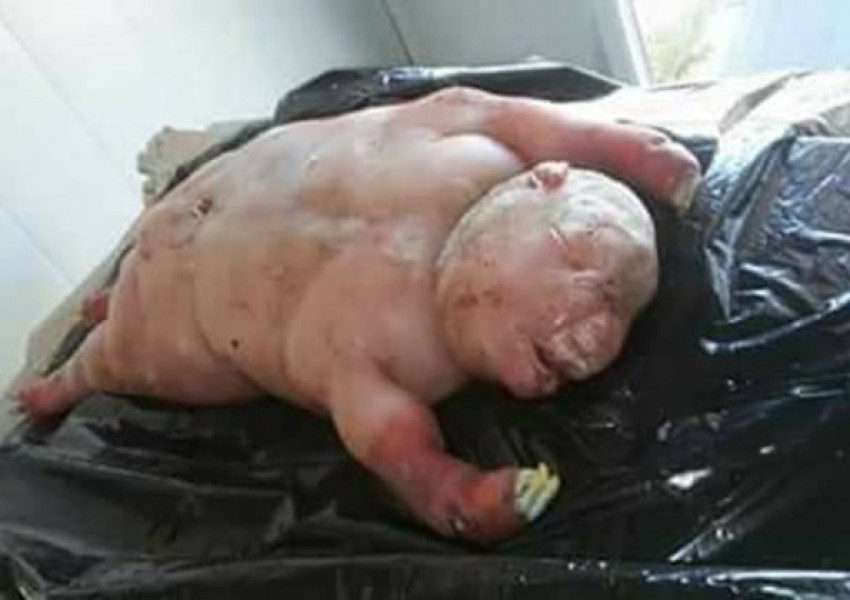  Какво е това – агне или човек (СНИМКИ 18+) 