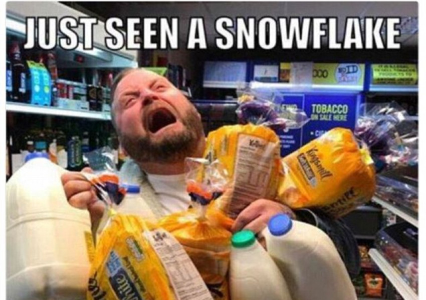 Лондончани реагираха с хумор на "снежното бедствие" (СНИМКИ)