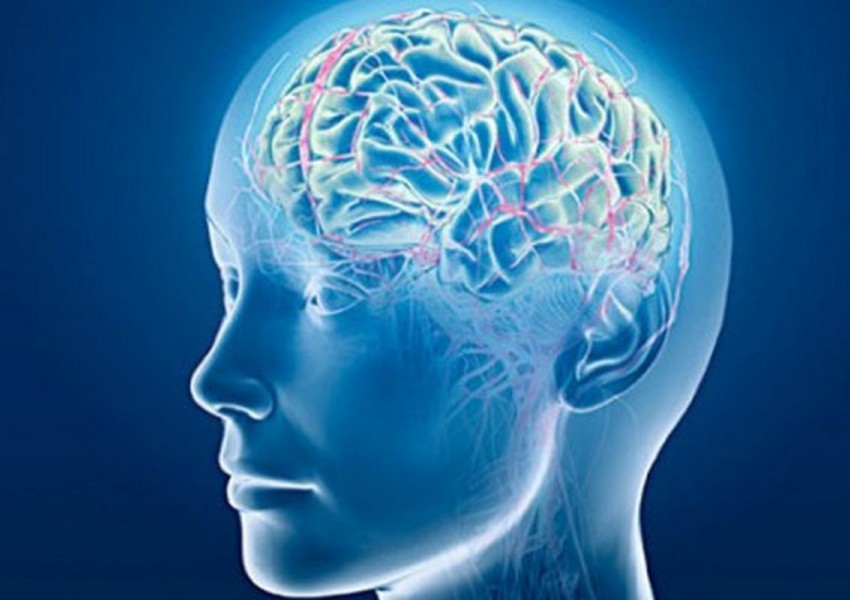 Човешки мозък в изкуствено тяло - нова технология за възкресяване?