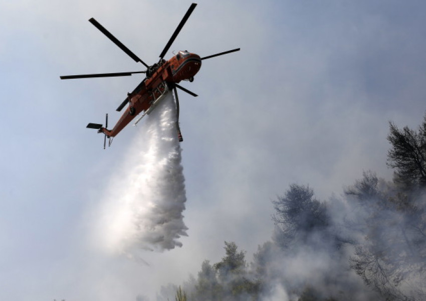 Стотици са евакуирани от бушуващите пожари на гръцкия остров Евия