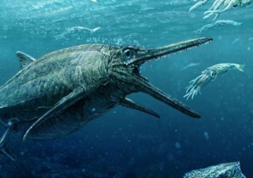 Откриха останки на морско чудовище в шотландско езеро (СНИМКА)