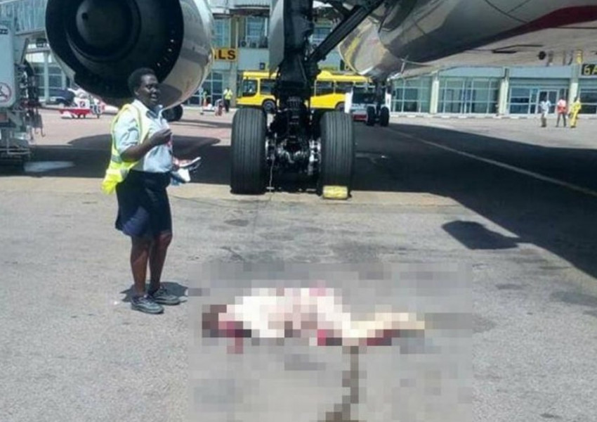 Ужас! Наша стюардеса падна от самолет! 