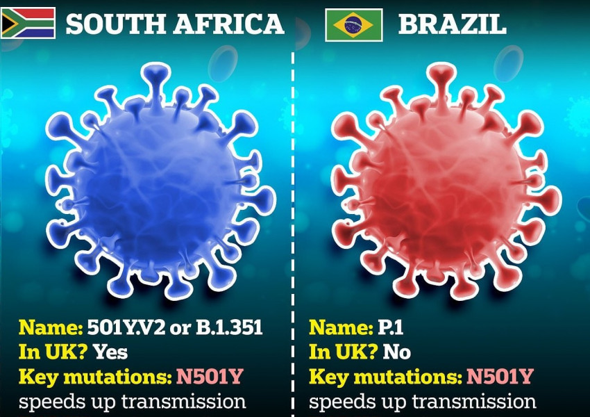 Учени предупреждават: Бразилският вариант на коронавируса е изключително опасен – може да реинфектира и да покрие целия свят!