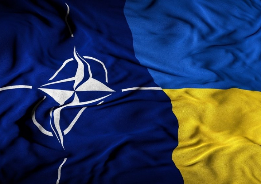 Зеленски: Украйна официално подава молба за присъединяване към НАТО