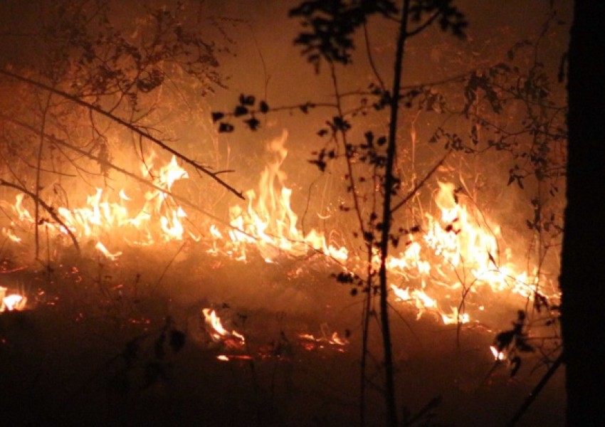 Огненият ад в Сакар планина погълна 10 хиляди декара 