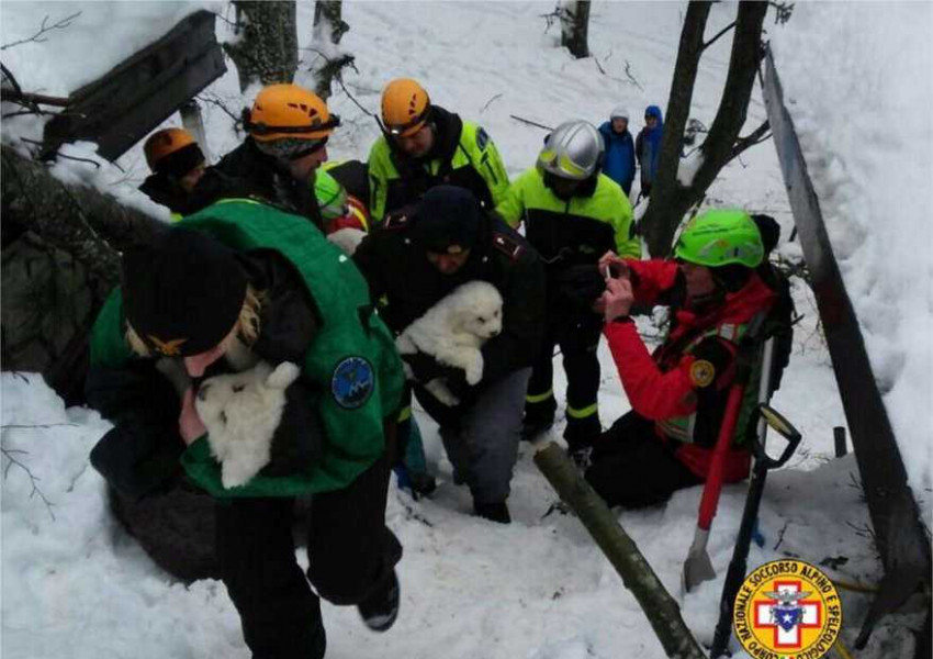Три малки кучета са спасени от затрупания хотел в Италия