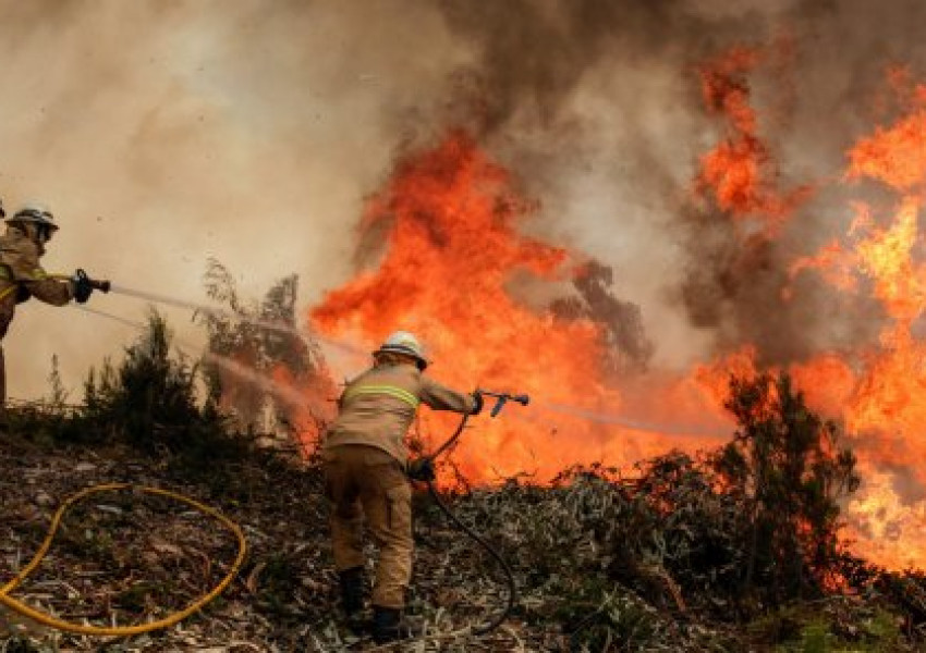 Самолет падна в Португалия, гасил пожарите