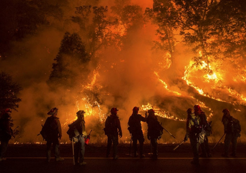 Паника в Калифорния! Броят на жертвите от пожарите продължава да расте