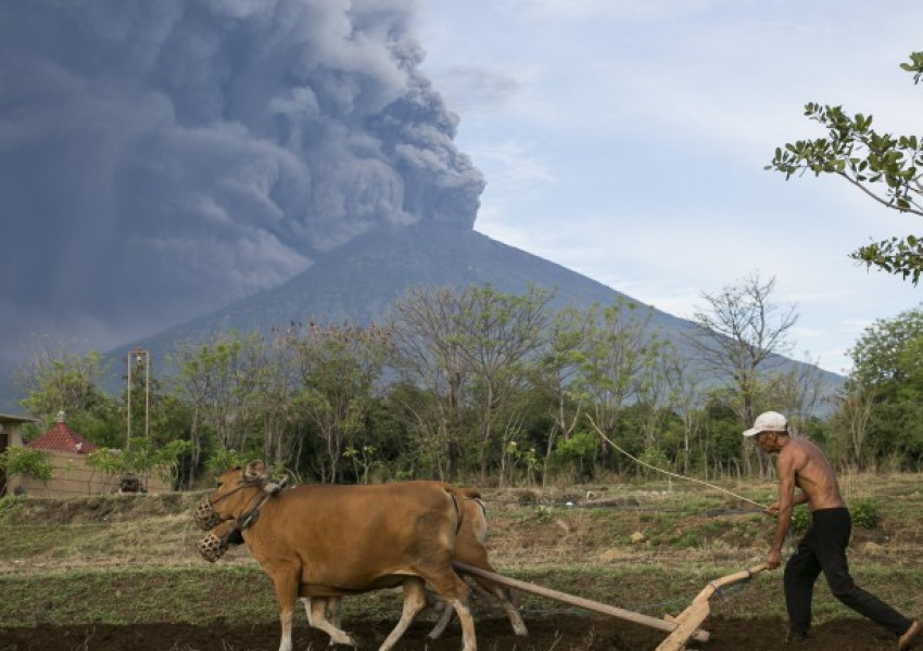 Вулканът Агунг анулира десетки полети до о. Бали 