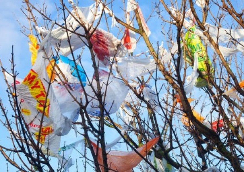 Първият супермаркет в света с щандове за стоки без пластмаса - в Холандия