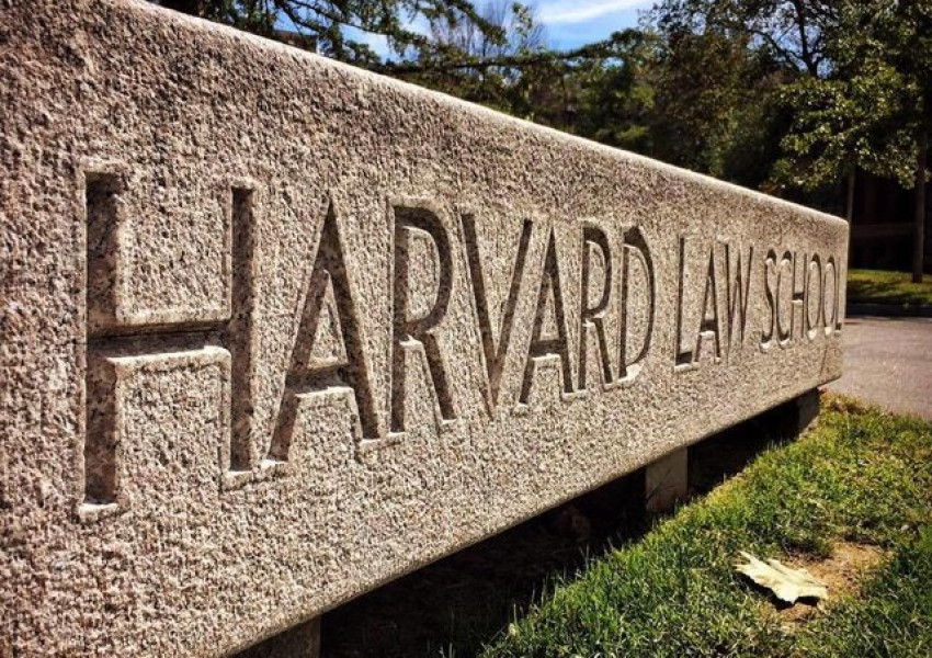 Как Харвард профука 1 млрд. долара за домати, захар и евкалипт?