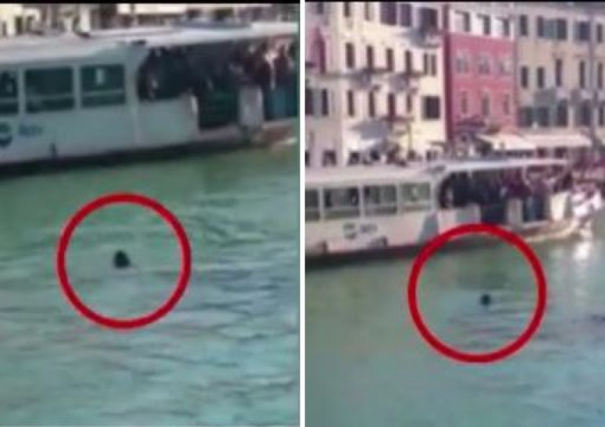 Мигрант се удави във Венеция, стотици зяпат