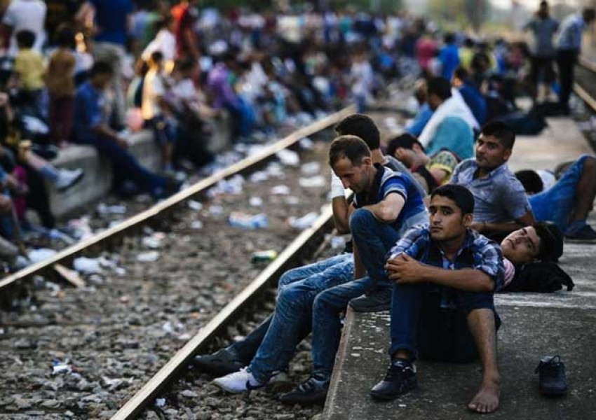 Общо 13 005 мигранти са влезли в България тази година
