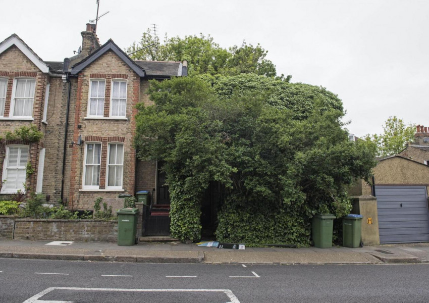 Най-зелената къща в Лондон се продава за £450,000 (СНИМКИ)