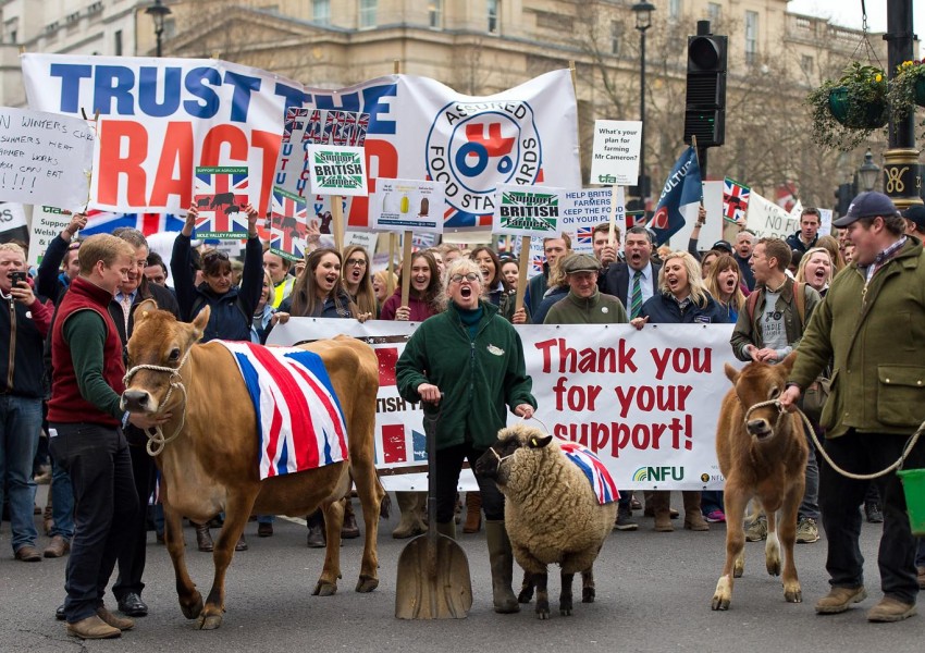 Британските фермери: Храната ще поскъпне след излизането от ЕС