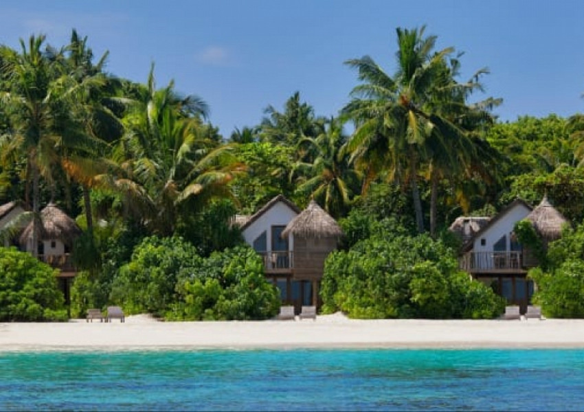 Работа-мечта: Луксозен курорт на Малдивите търси книжар