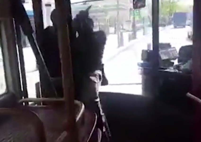 Смел пътник пребори нападател с нож в лондонски автобус (ВИДЕО)