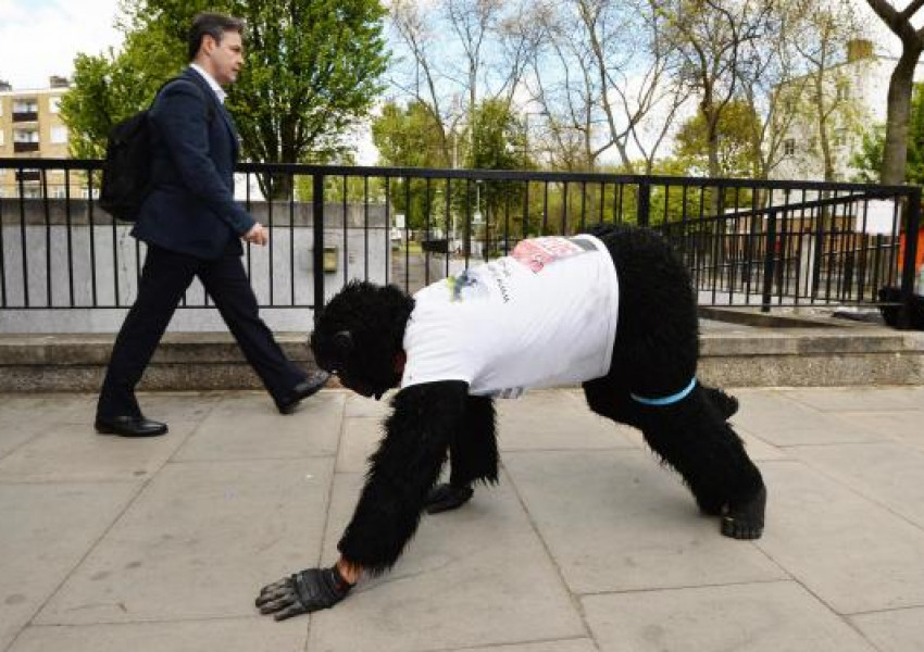 Кой е участникът в костюм на горила, който все още бяга в Лондонския маратон?