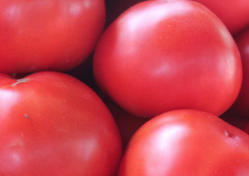 Наши учени създадоха нов сорт домати 