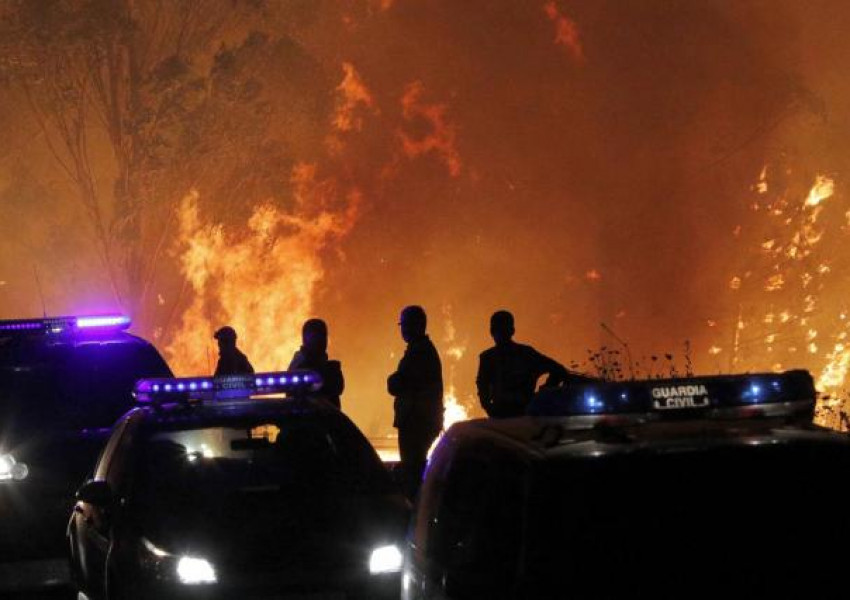 20 загинали при ужасяващ пожар в Португалия