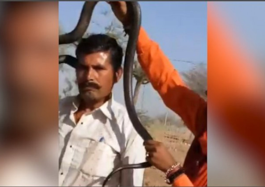 Турист загина заради селфи с кобра