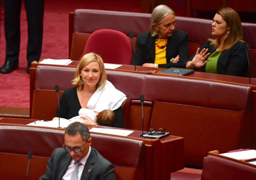 Австралийски политик кърми в парламента
