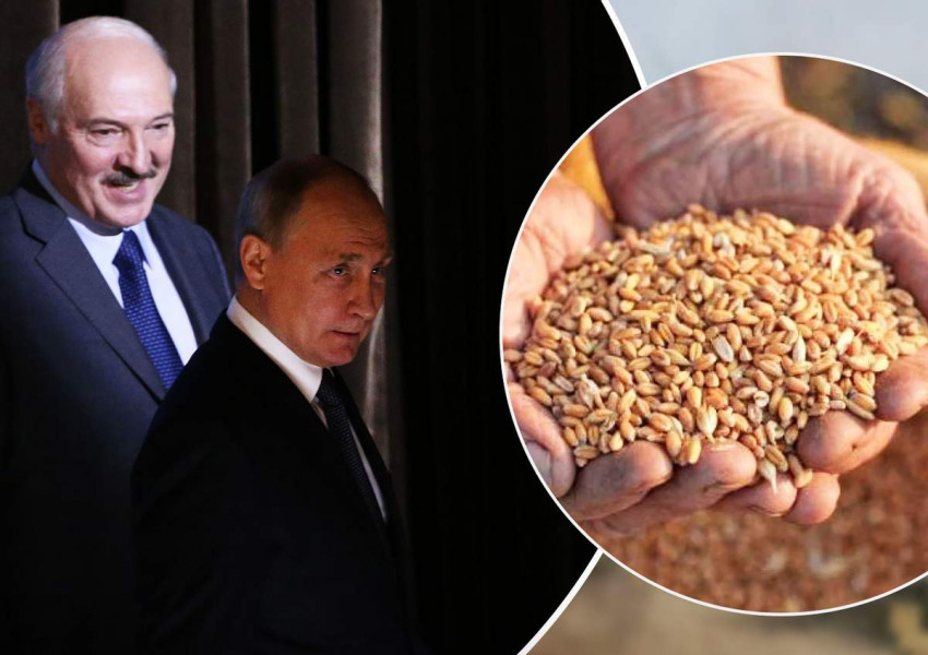 Ройтерс: Путин ще прави Русия най-големият производител на зърно в света