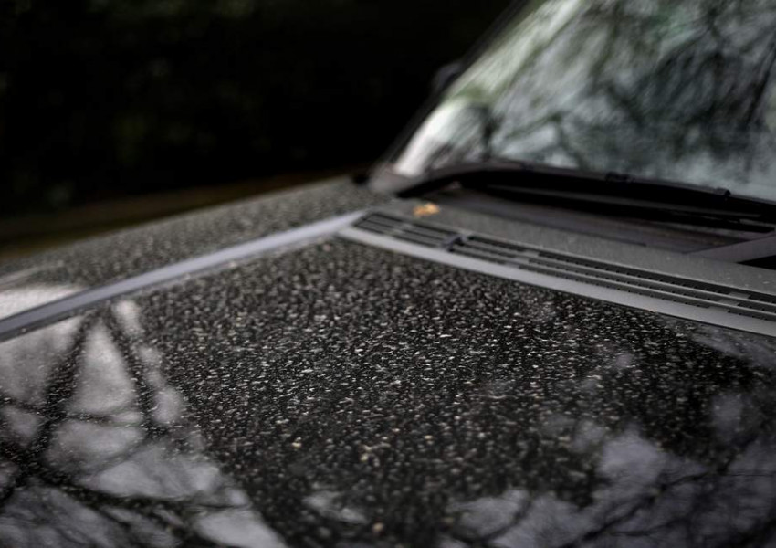 Кален дъжд покри коли и прозорци във Великобритания (СНИМКИ)