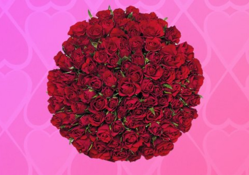 Lidl с промоция за всички влюбени: 100 червени рози само за 25 паунда!