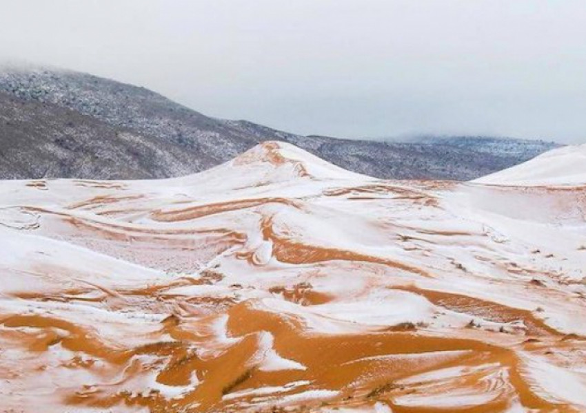В Сахара отново падна сняг (СНИМКА)