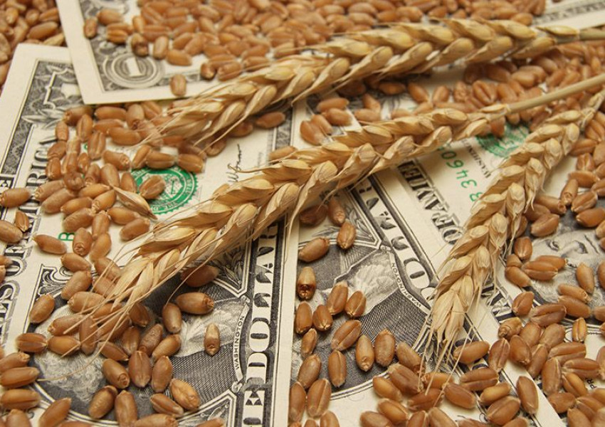Развалената зърнена сделка: Цената на пшеницата тръгна нагоре по борсите в САЩ