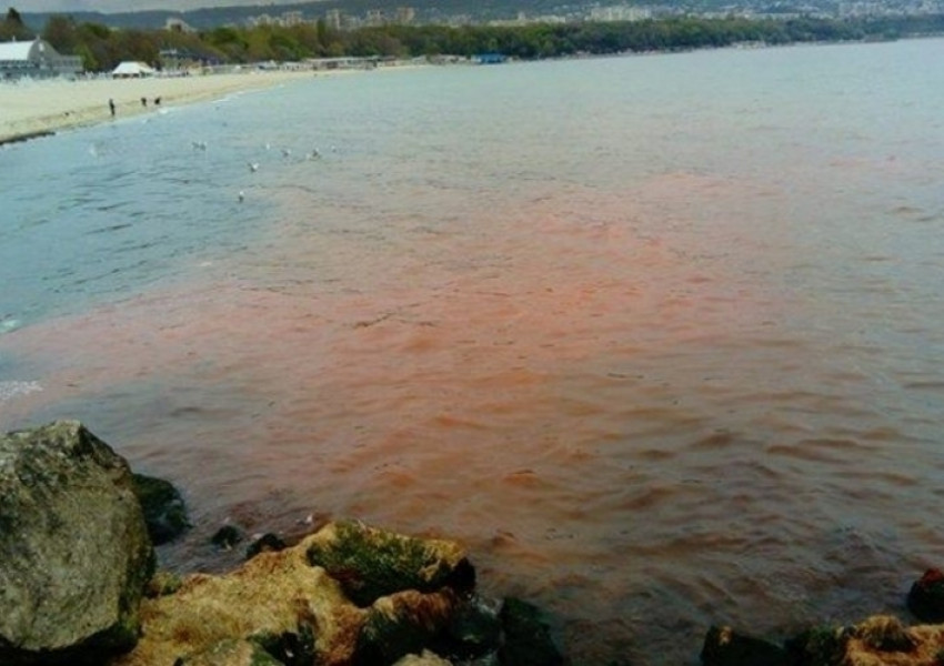 Мистерия в морето край Варна