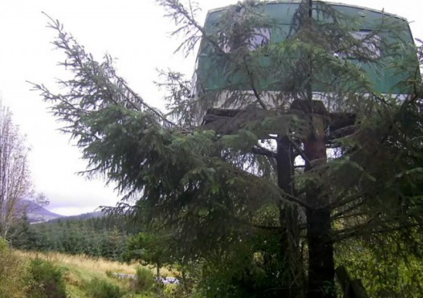 В Шотландия можете да отседнете във фургон на дърво