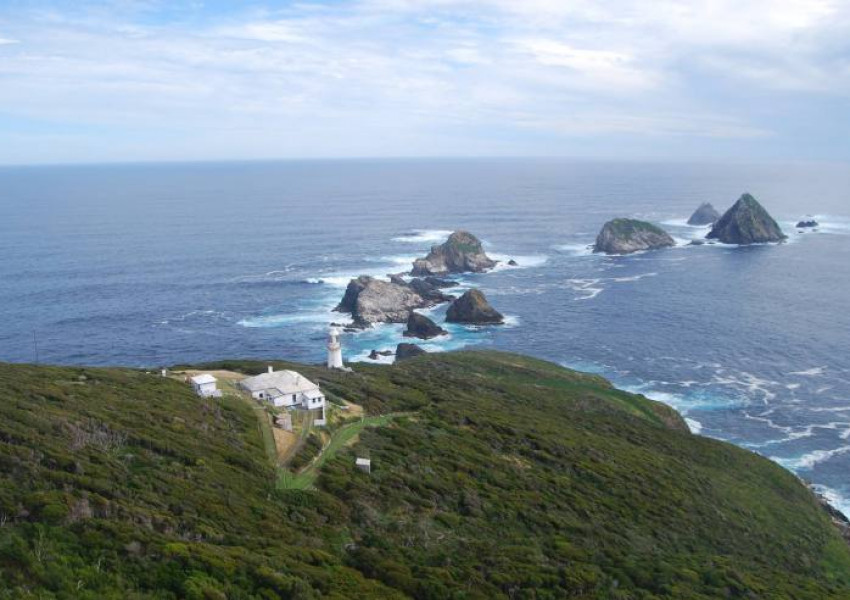 Искате ли да живеете безплатно на чуден остров с половинката си?