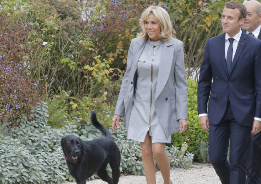 Кучето на Макрон се изпишка в зала по време на заседание