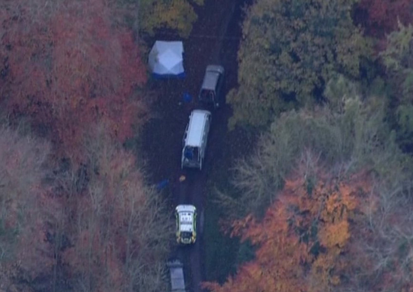 Самолет и хеликоптер се сблъскаха над Великобритания (ОБНОВЕНА)