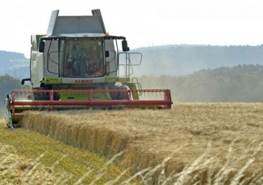 Брекзит “дава” повече пари на фермерите 