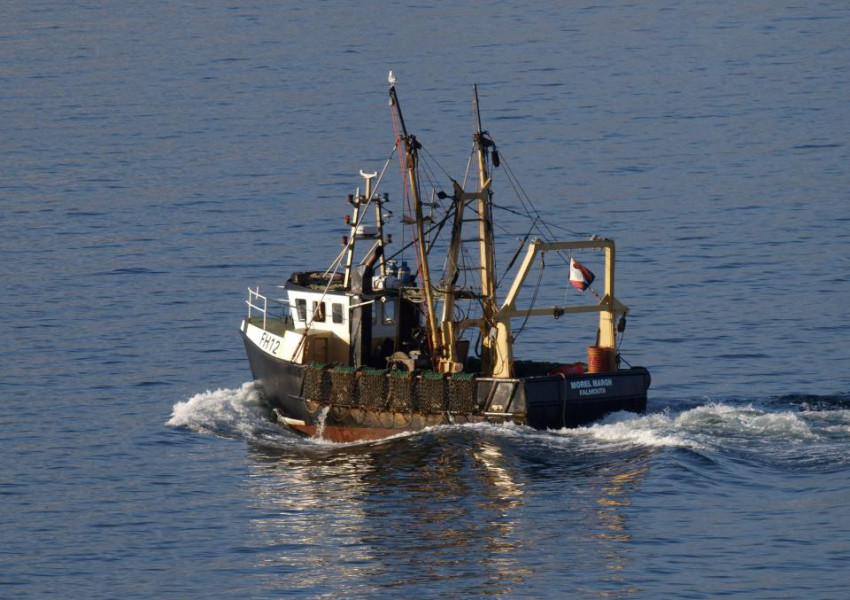 Акула нахапа рибар на Южния бряг