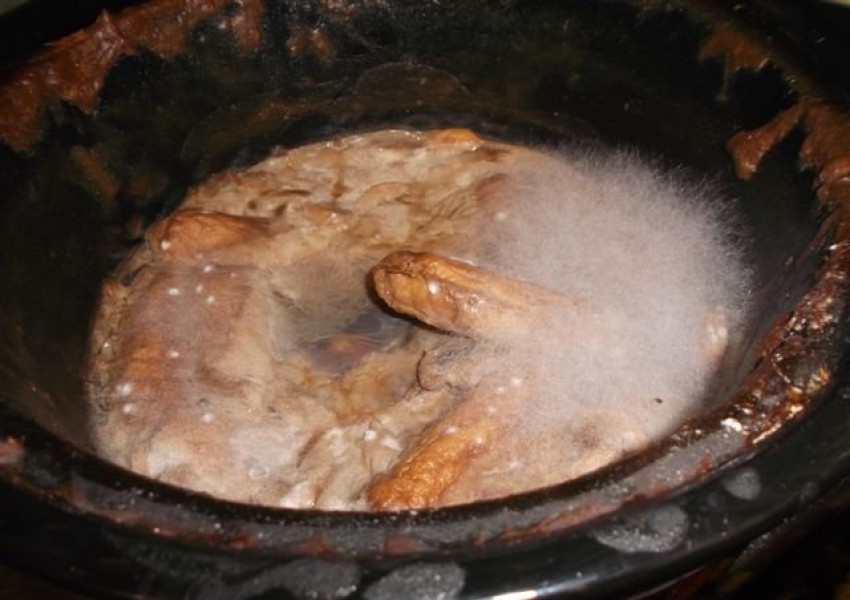 Ето как действително готвят в английските пъбове (СНИМКИ 18+)