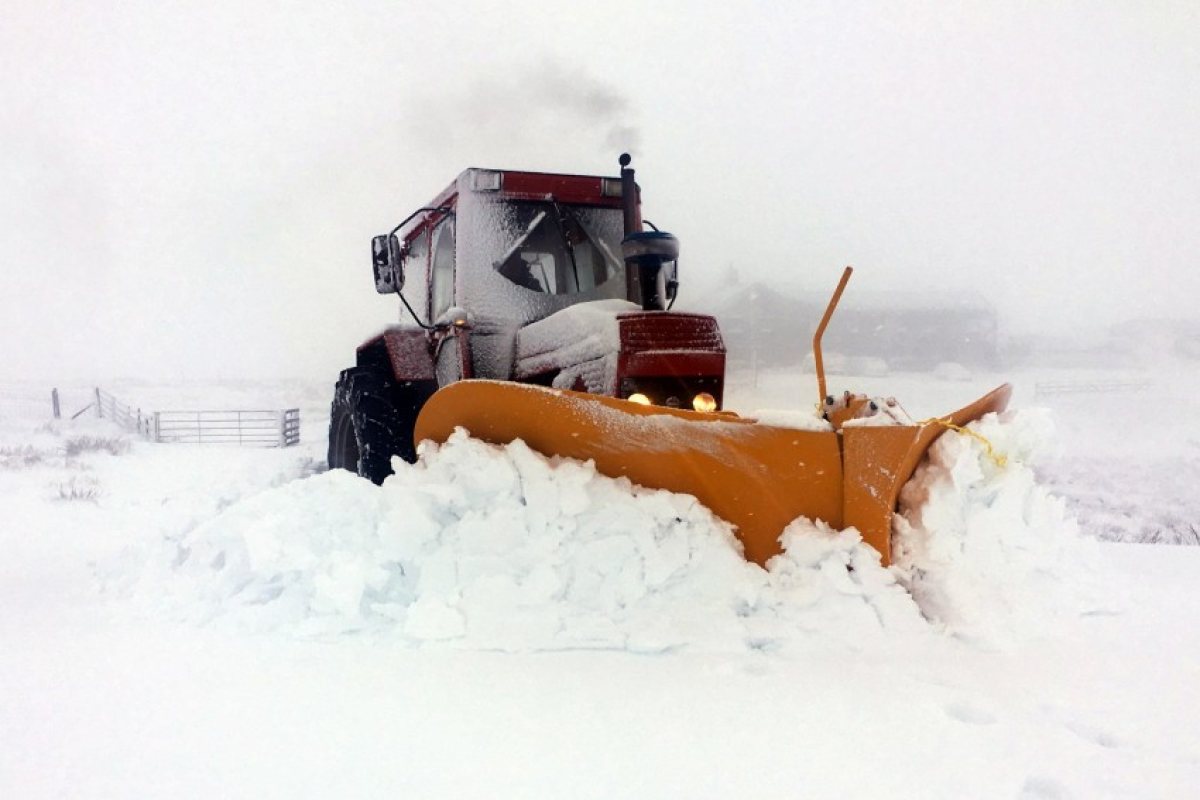 Вижте къде ще вали утре сняг
