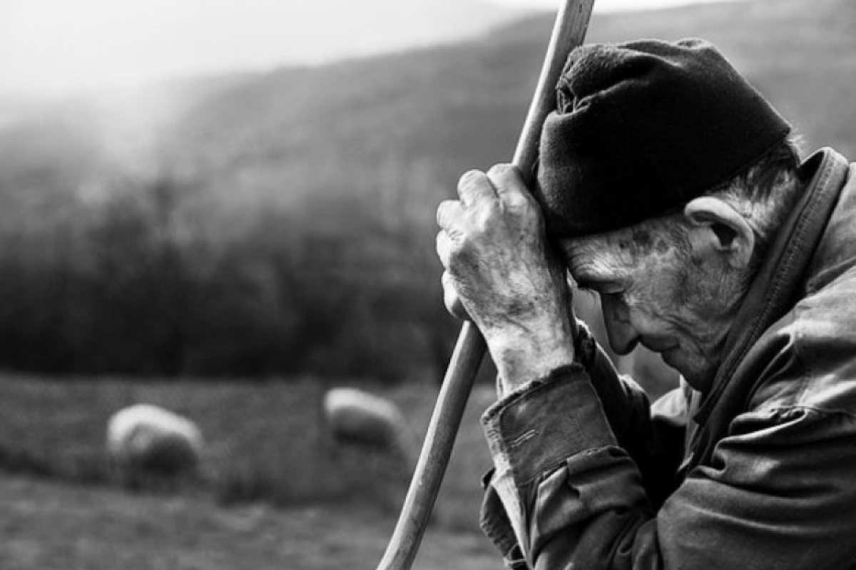 Евростат: Най-бедните българи са във Видин и Враца, най-заетите - в София