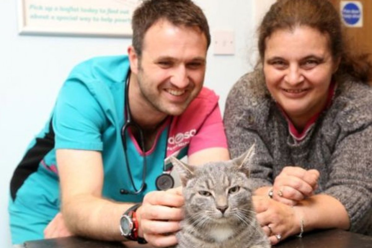Коте оцеля след пране в перална на 60 градуса