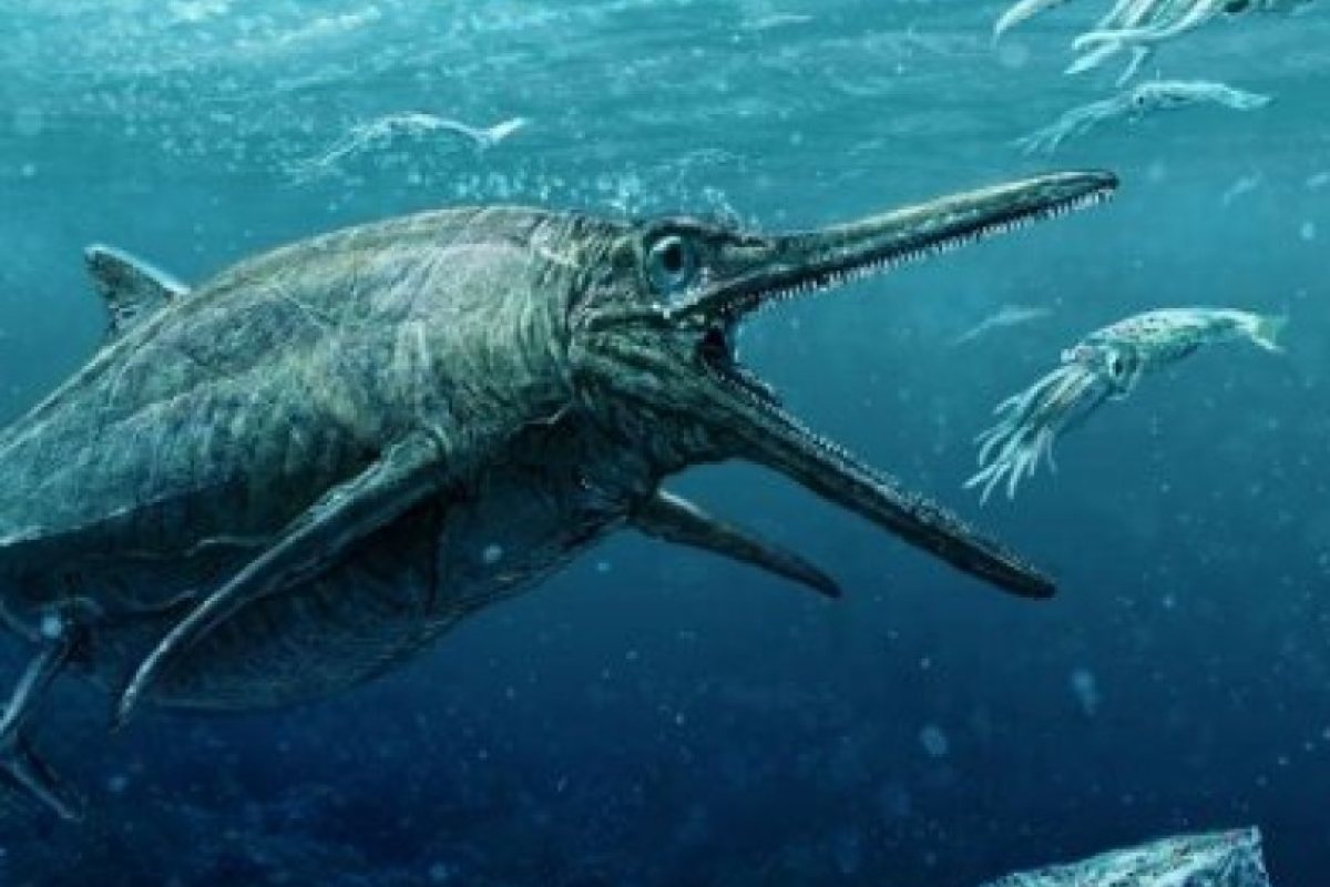 Откриха останки на морско чудовище в шотландско езеро (СНИМКА)