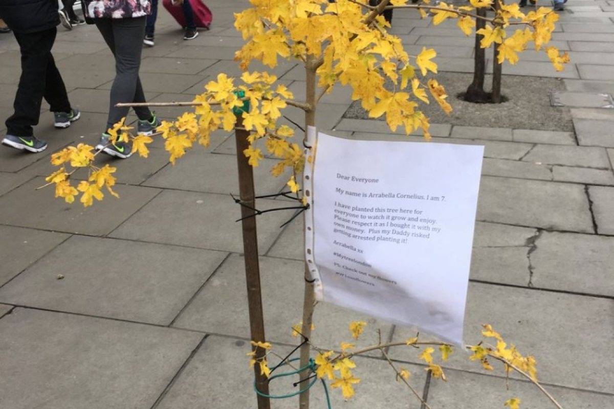 Баща и дъщеря посадиха дърво насред Oxford street
