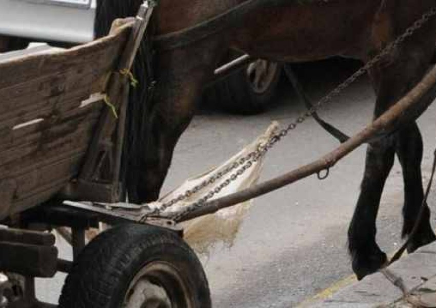 Абитурент отиде на бала си с носия и каруца