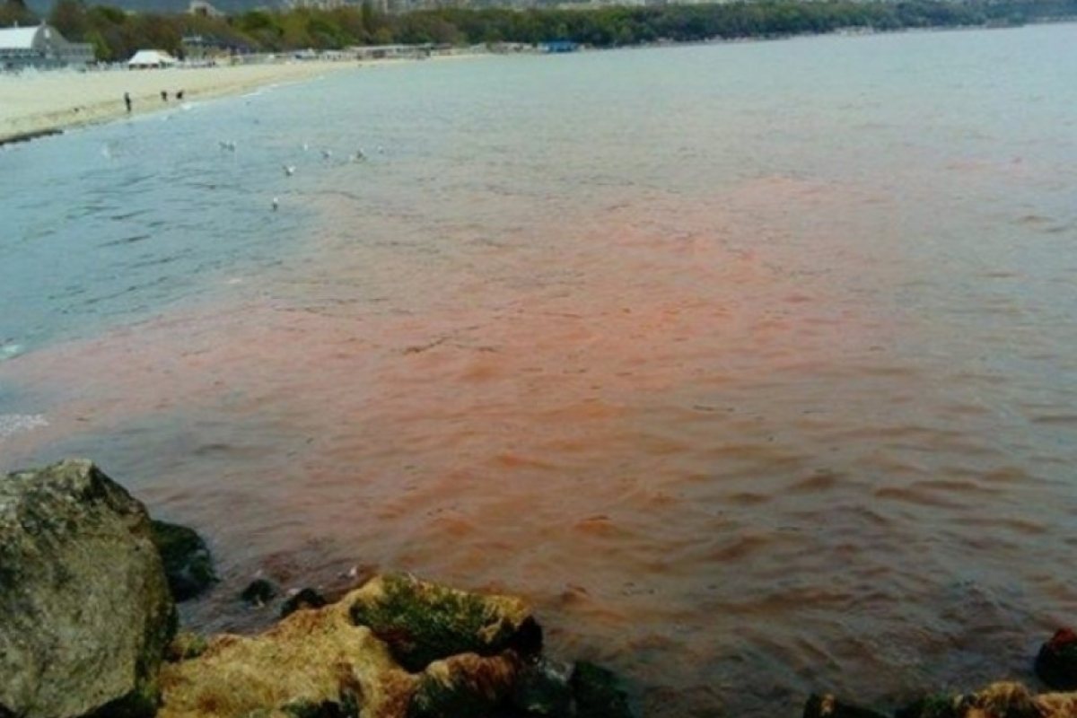 Мистерия в морето край Варна
