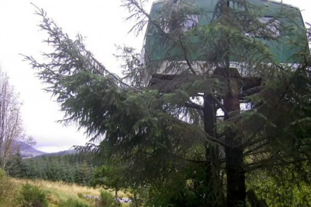 В Шотландия можете да отседнете във фургон на дърво